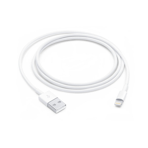 Câble Apple Lightning vers USB 1 m (MD818ZM/A)