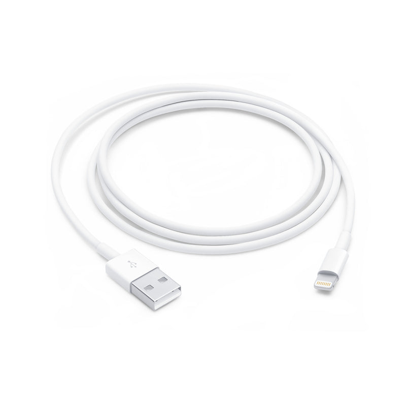 Apple Lightning auf USB Kabel 1m (MD818ZM/A)