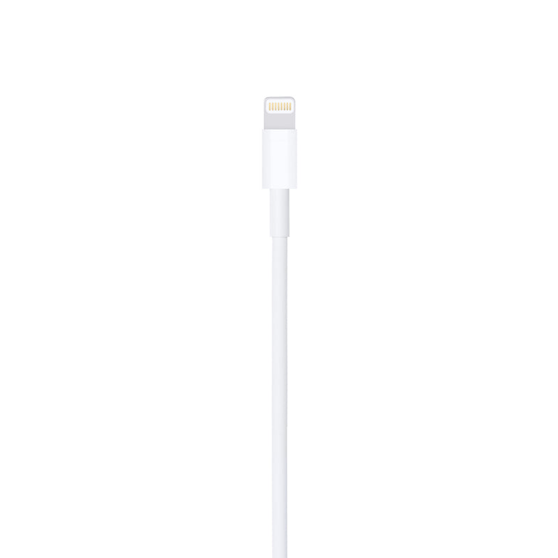 Apple Lightning auf USB Kabel 1m (MD818ZM/A)