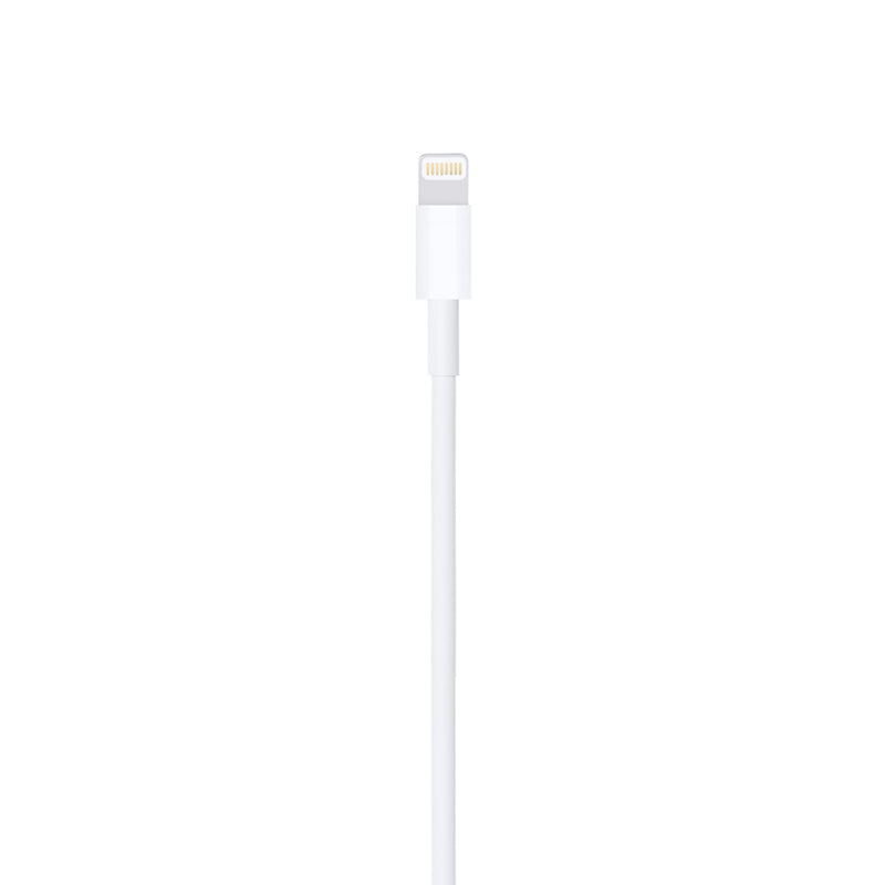 Apple Lightning auf USB Kabel 2m (MD819ZM/A)