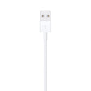 Câble Apple Lightning vers USB 1 m (MD818ZM/A)