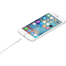 Câble Apple Lightning vers USB 1 m (MD818ZM/A)