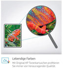 HP Original 312A Toner Cyan, Magenta, Jaune (CF440AM) Lot de 3 Lot de 3